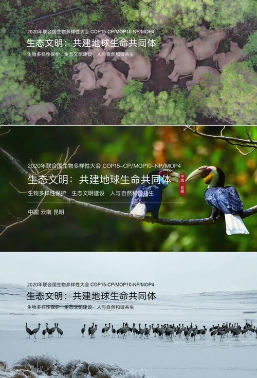 生态与人文的和谐共生
