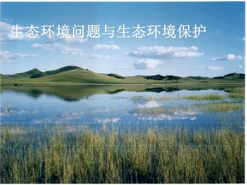 问题三:如何平衡生态保护与摄影创作的关系?
