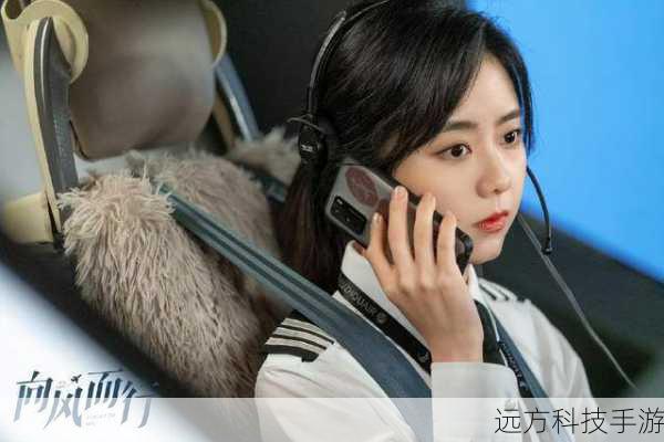 王凯饰演的顾南亭是鹭航客运飞行部副部长,严苛自律,是众人公认的魔鬼教员,谭松韵饰演的程霄是货运部的女飞行员,性格飒爽不羁,却为了梦想留在了鹭航。