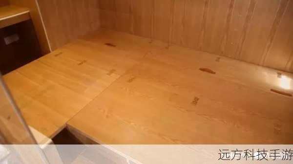 真实案例:节目中的改造案例均来自真实家庭,通过设计师的巧手,为普通家庭实现梦想中的家。
