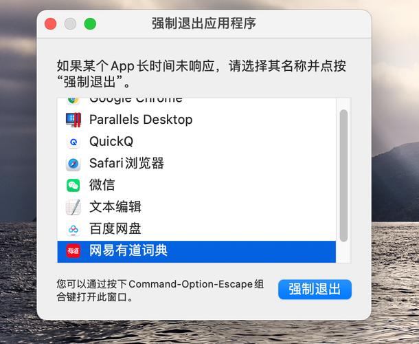 3、强制退出:选中进程后,点击左上角的“X”按钮,然后选择“强制退出”。