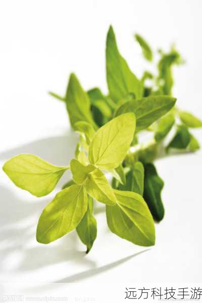 ?环保节能,绿色办公 ?