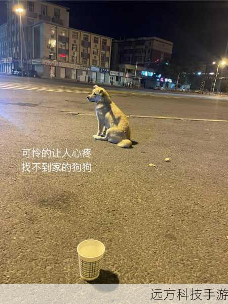 李明决定深入调查这个组织,并找到失踪的宠物,他遇到了许多困难和危险,但他从未放弃,在他的努力下,他终于找到了失踪的宠物,并揭露了这个组织的罪行。
