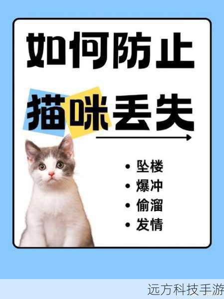 问题 1:宠物侦探在寻找宠物的过程中会遇到哪些困难和挑战?
