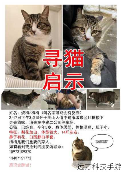 回答:宠物侦探在寻找宠物的过程中会遇到许多困难和挑战,宠物可能会走失很远,侦探需要花费大量的时间和精力去寻找,宠物可能会被藏在一些难以找到的地方,侦探需要运用自己的观察力和智慧去发现线索,宠物可能会被绑架或者被盗,侦探需要与犯罪分子斗智斗勇,保护宠物的安全。