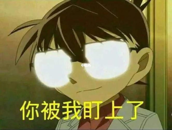 5、勇敢和耐心:宠物侦探需要勇敢面对危险和困难,同时也需要有耐心和毅力,不放弃寻找宠物。