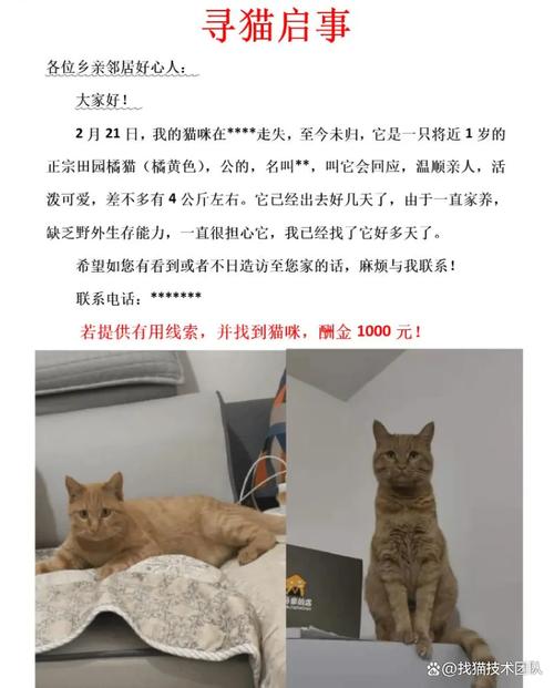 回答:宠物侦探在寻找宠物的过程中会运用以下技术和方法: