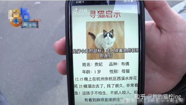 2、调查技术:宠物侦探可以通过调查宠物主人、邻居和相关人员,了解宠物的行踪和情况。