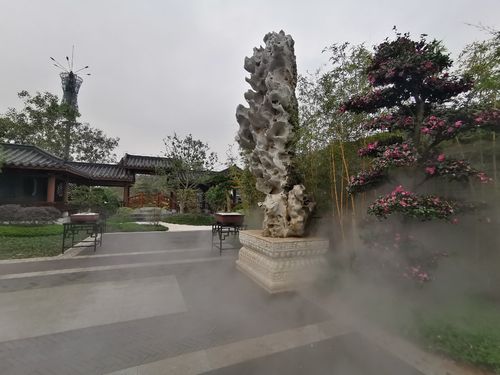 拍照功能:满足日常需求