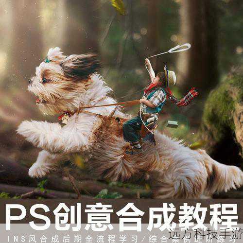 合成步骤详解