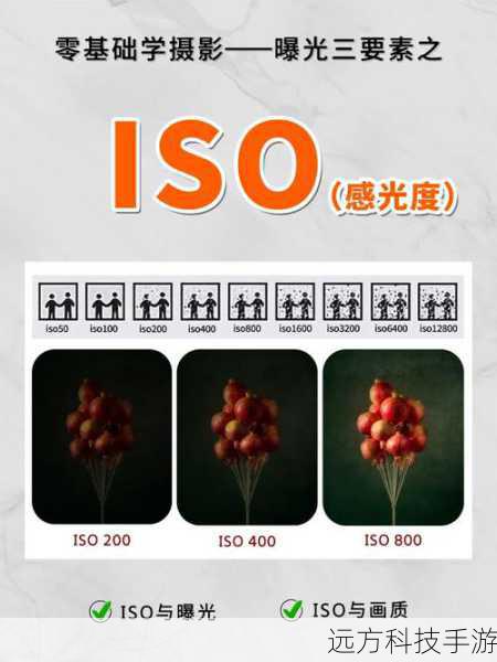 但佳能7D的ISO感光度并不止于此，它还具备扩展ISO感光度功能，最高可达12800，这一功能在极端低光环境下尤为实用，能够让你在几乎没有任何自然光线的条件下，依然能够捕捉到珍贵的瞬间，需要注意的是，随着ISO感光度的提高，照片的噪点也会相应增加，因此在使用时需要根据实际情况进行权衡。