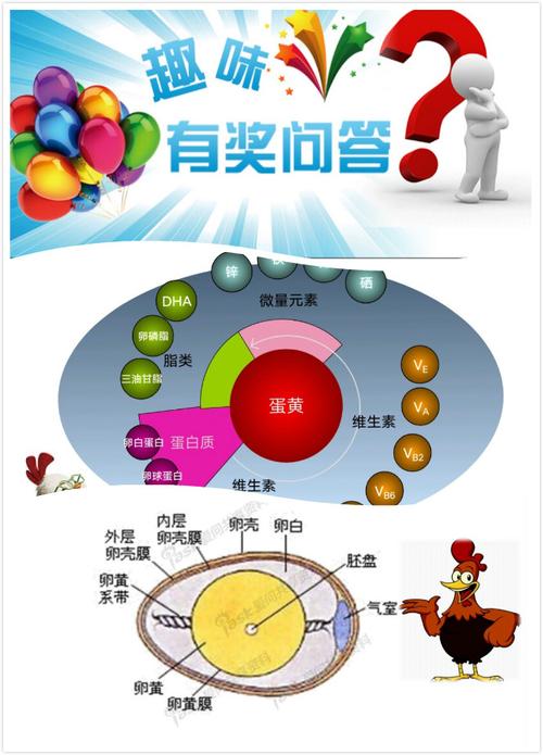 问答环节: