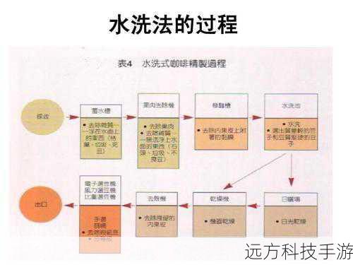 清洗与预处理:简单几步,美味加分