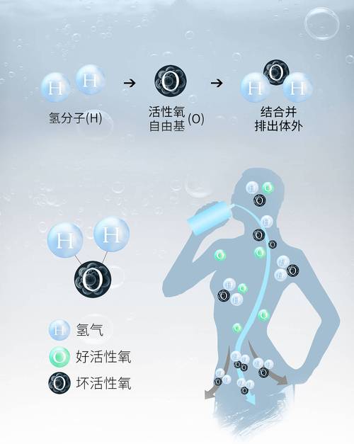 尼康D3100的快门寿命大约在10万次左右,但具体寿命会受到多种因素的影响,通过合理使用、定期保养以及及时维修等措施,我们可以有效延长相机的使用寿命,让它在我们的摄影之路上发挥更大的作用。