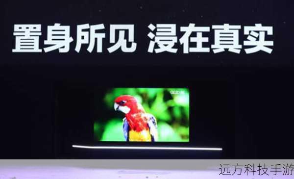 视觉盛宴，尽在眼前