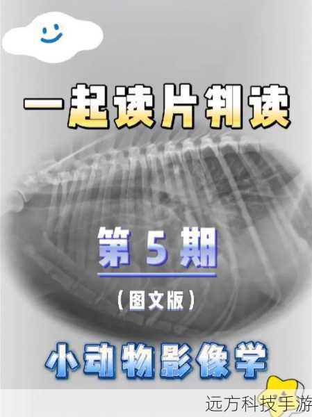 第三幕:实战应用大考验