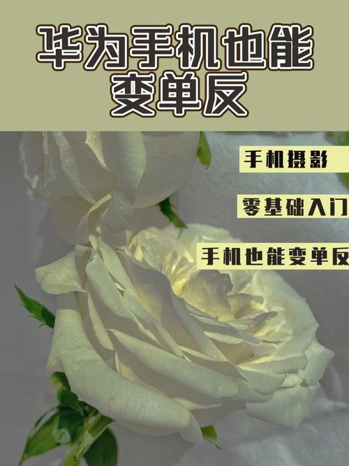 3.拍摄功能