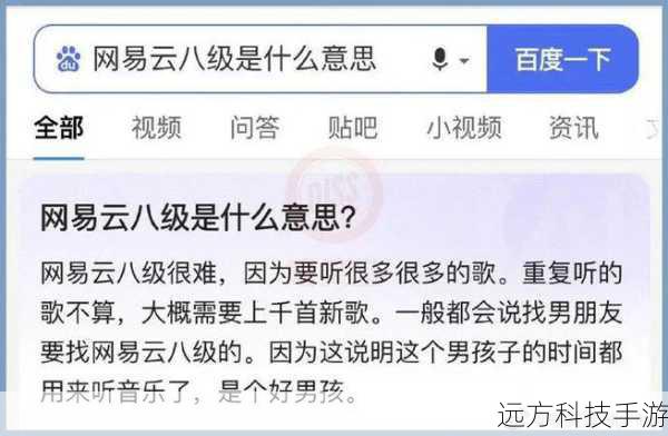 网易云八级的定义