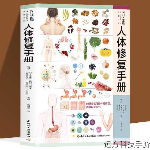 基础使用