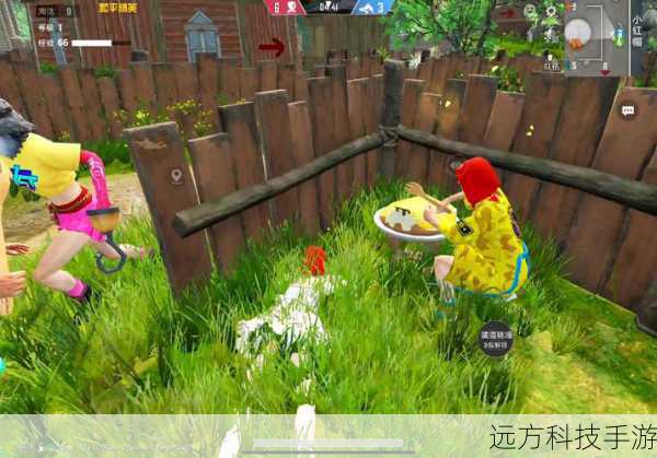 高清画质,细节尽在掌握