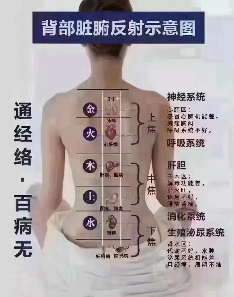 2、激活过程: