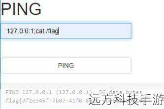 - 使用-exec执行命令: