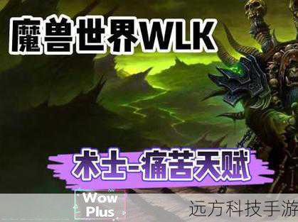 魔兽世界WLK怀旧服，术士玩家的高效宏命令宝典
