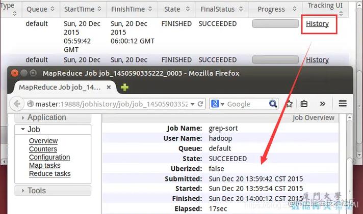 Q1: 如何使用lsb_release -a 获取Linux发行版的详细信息?