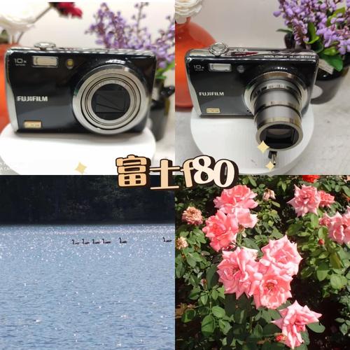 Q3: 富士S2000的长焦性能在哪些场景下表现尤为出色?