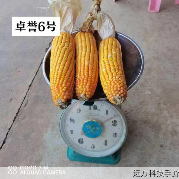 - 在下载前,可以查看种子的评分和评论,评分高且有正面评价的种子通常更安全可靠。