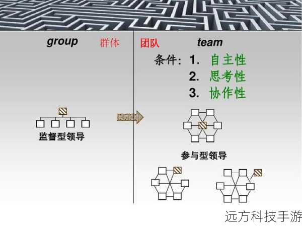 3. 团队协作与策略应用