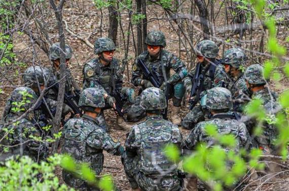 不断参与实战,积累经验,并根据不同的对手调整战术,通过与不同玩家的交流和学习,不断提升自己的策略运用能力,让风清扬在实战中展现出更强的战斗力。