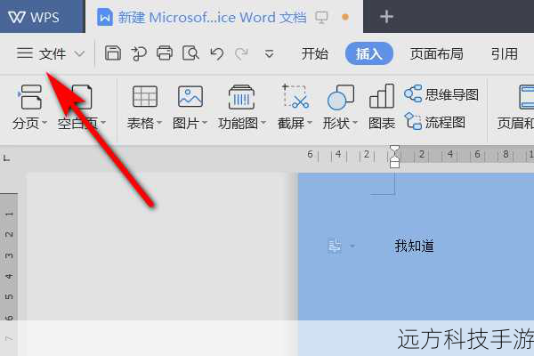 如何获取金山WPS 2003官方免费完整版?