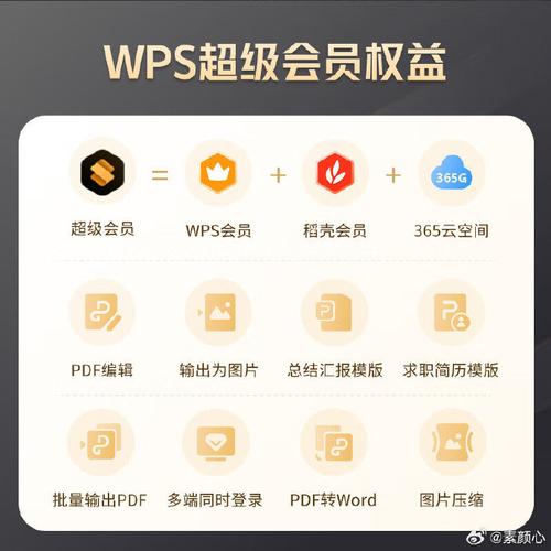 Q2:金山WPS 2003能否打开并编辑PDF文件?