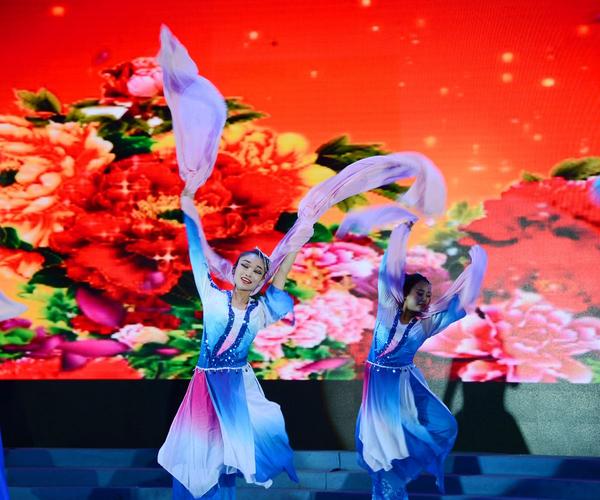《中国好舞蹈》不仅是一档舞蹈真人秀节目,更是一个展示中国舞蹈文化和艺术的平台,通过这个节目,观众们可以更好地了解和欣赏中国舞蹈的魅力和力量,这个节目也为中国的舞蹈事业注入了新的活力和动力,让更多的人关注和支持中国的舞蹈文化和艺术。