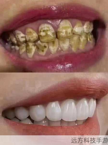 高清画质,记录每一个细节