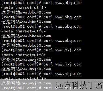 5、在“绑定”选项卡中,添加新的主机头,用于反向代理的目标服务器地址。