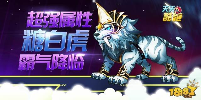 2、糖白虎与其他宠物如何进行有效搭配?
