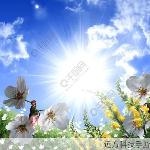 2、调整尺寸:确保你的图片尺寸符合QQ表情包的要求,建议使用1024x1024像素的正方形图片,以保证在各种设备上都能清晰显示。