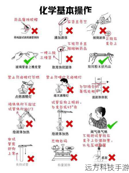 基本操作