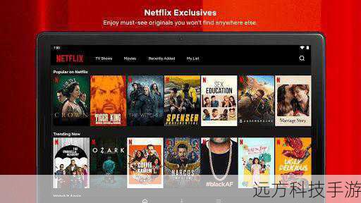 3、查找官方应用:在搜索结果中,你会看到“Netflix”应用的图标,确保点击的是来自Netflix Inc.的官方应用,以避免下载任何假冒软件。