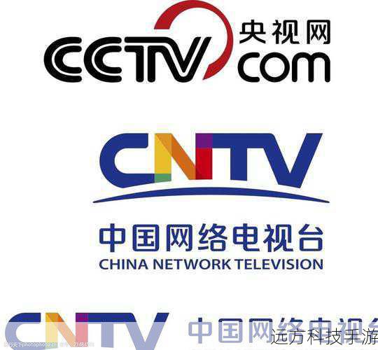 - 网络平台:央视网、央视频、优酷视频等。