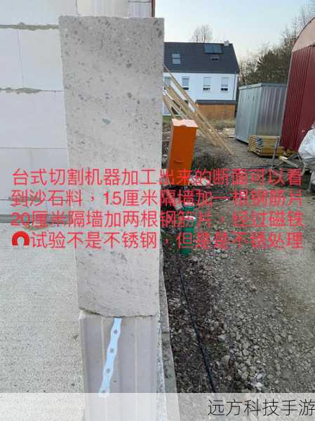 2. 外观细节观察