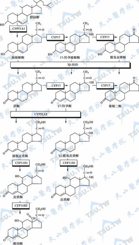 通过上述内容的编写，我们详细介绍了Alcohol 120% 5.0的强大功能及其如何在全球范围内提供高质量的光盘管理解决方案，通过解答常见问题，进一步增强了读者对该软件的理解和使用信心。