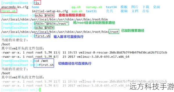 CS脚本的基础知识