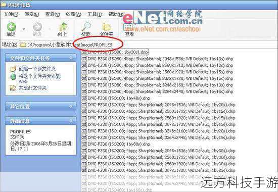 问题1:Neat Image是否支持实时预览?