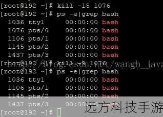 找到占用端口的进程后,使用kill -9 PID(将PID替换为进程ID)命令强制结束该进程,确保操作前备份重要数据,并确认该操作不会对系统造成不可逆的影响。