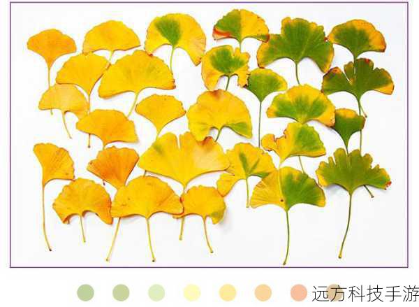 1、颜色变化:调整树叶的颜色,比如使用随机颜色或者渐变色,让每一棵树都独一无二。