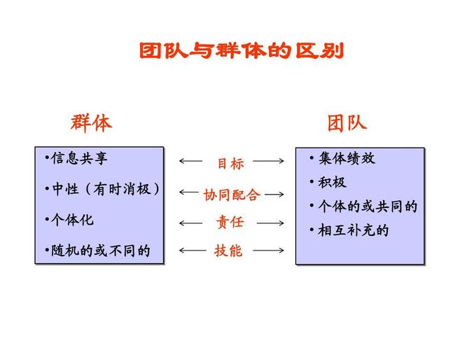 协调团队行动:明确每个人的任务和责任,如谁负责吸引仇恨,谁负责输出,谁负责治疗。