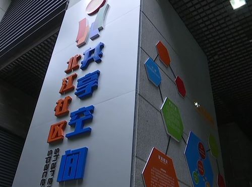 3、技能共享:在特定情况下,可以考虑让团队成员共享技能释放时机,比如在BOSS处于虚弱状态时,全员同时释放大招,最大化输出效果。